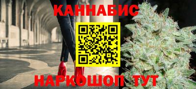 гидропоника Сланцы
