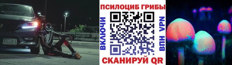 Псилоцибиновые грибы прущие грибы  купить   Серпухов 