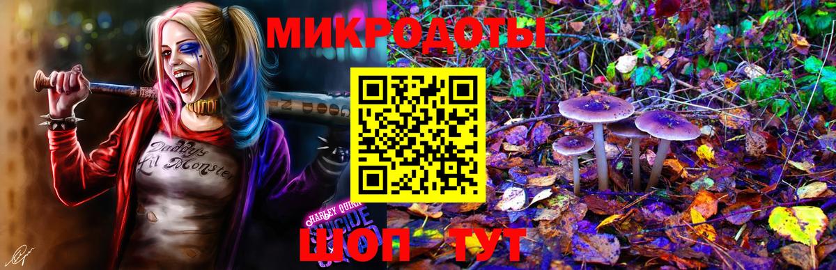 Галлюциногенные грибы Cubensis  Псилоцибиновые грибы GOLDEN TEACHER  Серпухов  Вход с VPN 